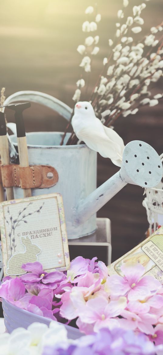 flowers, watering can, bird, decoration, light