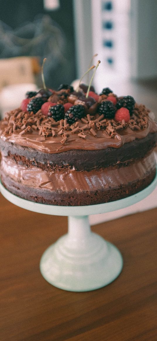 cake, chocolate, berries, dessert