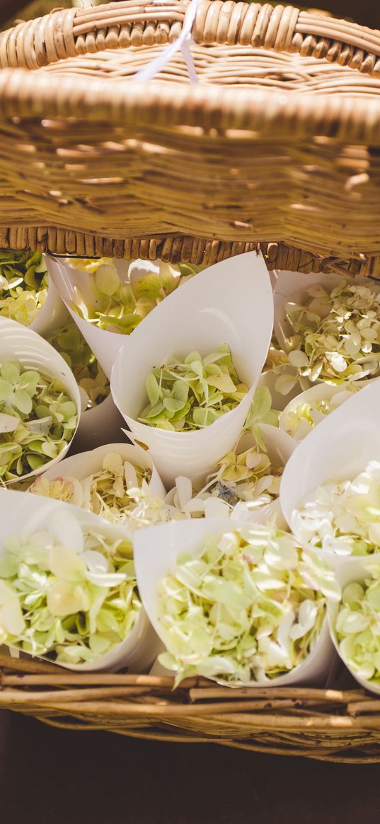 bouquets, flowers, basket