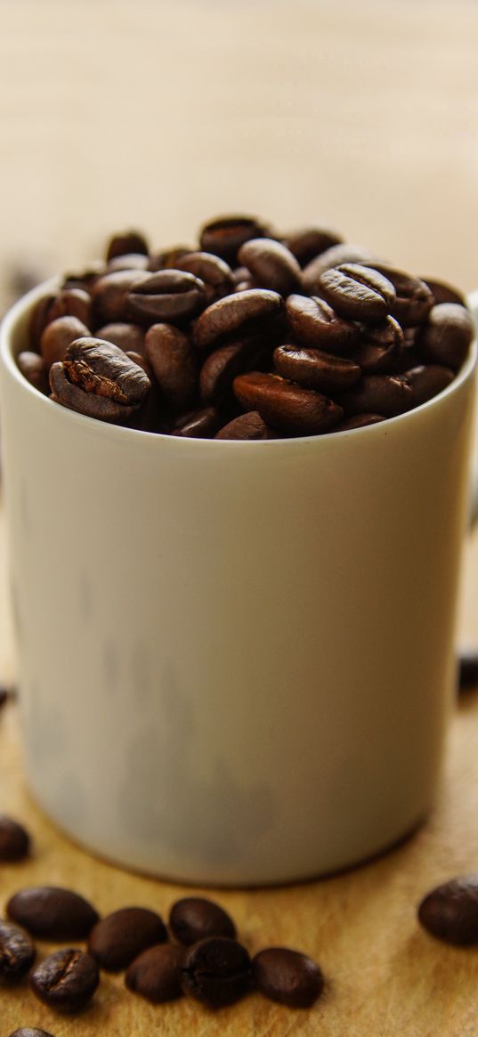 coffee beans, coffee, cup, white