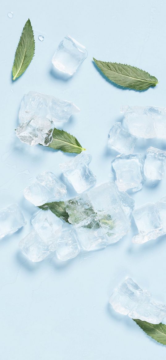 ice, mint, leaves, cold, macro