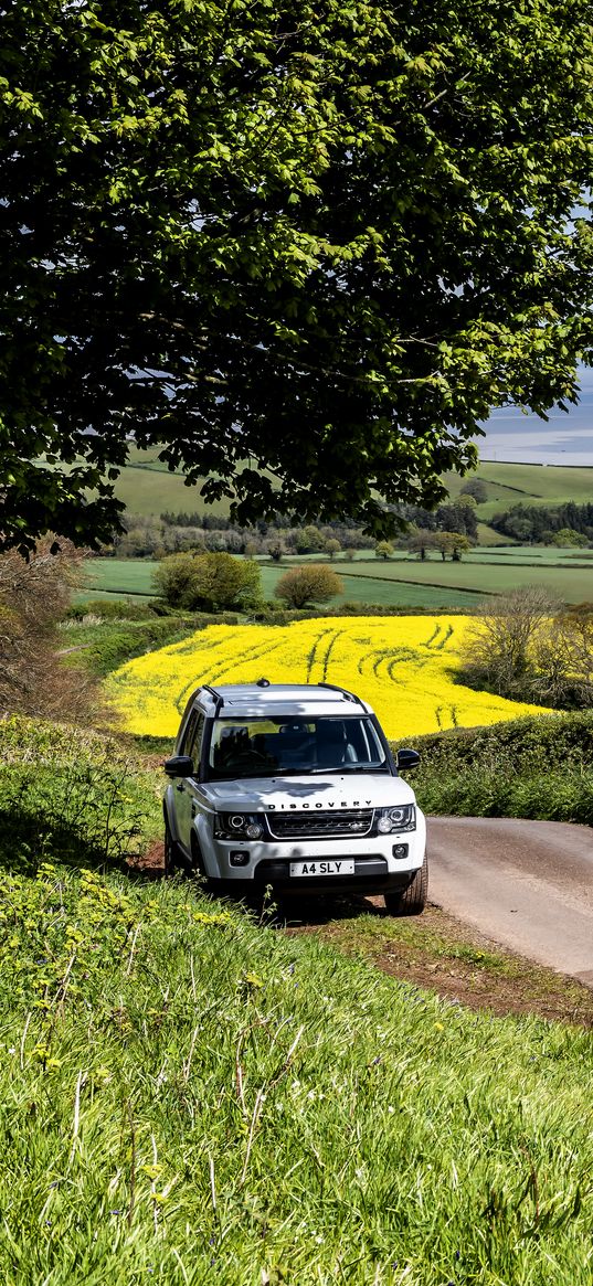 land rover, car, suv, white, road, nature