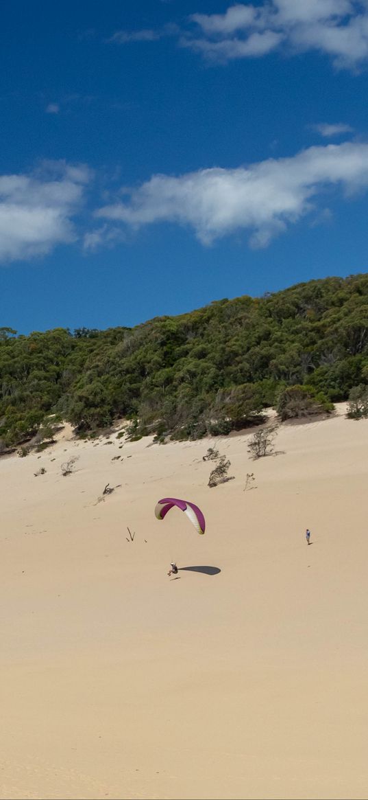 parachutist, beach, sand, sport, extreme