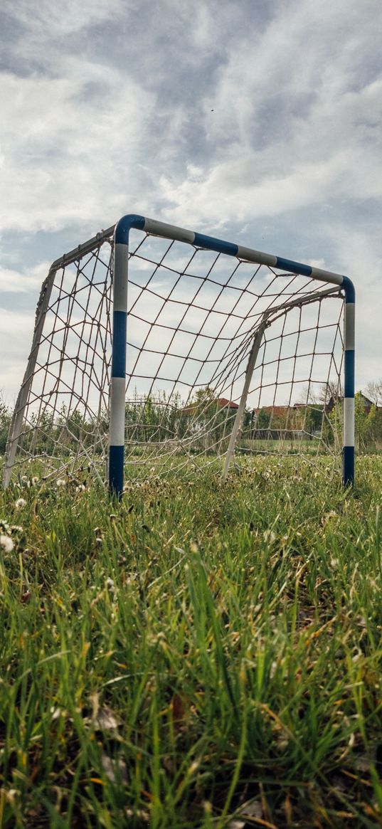 gate, net, field, grass, football, sport