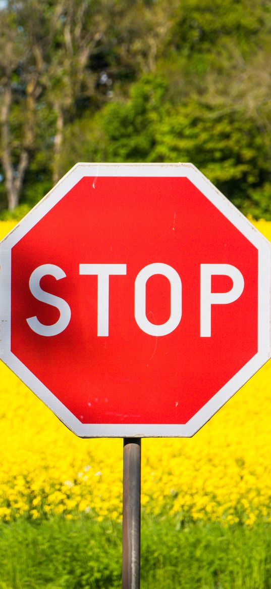 stop, sign, word, field, flowers