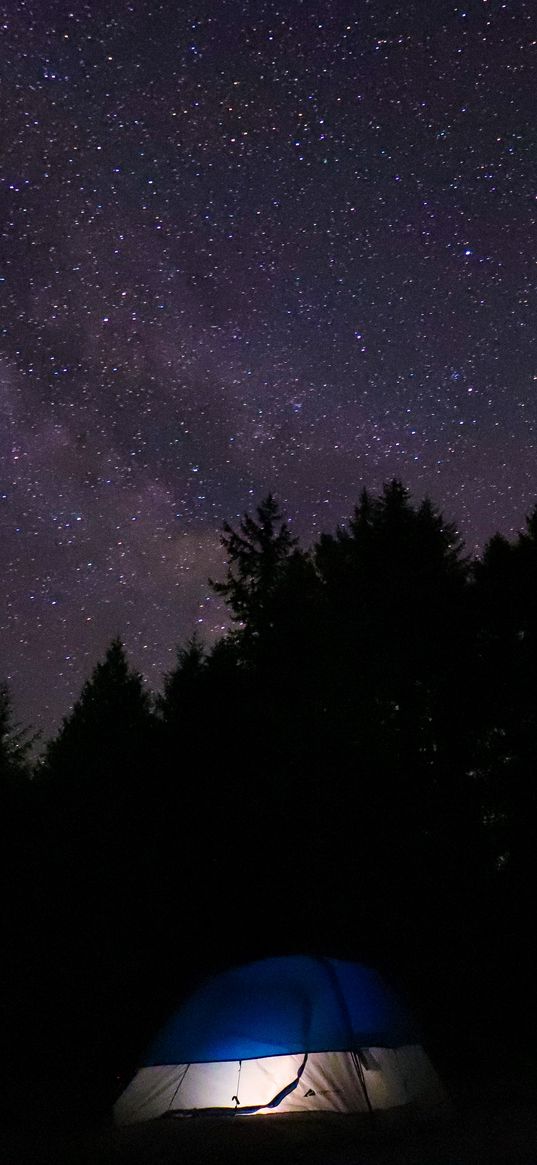 tent, camping, stars, sky, night, dark