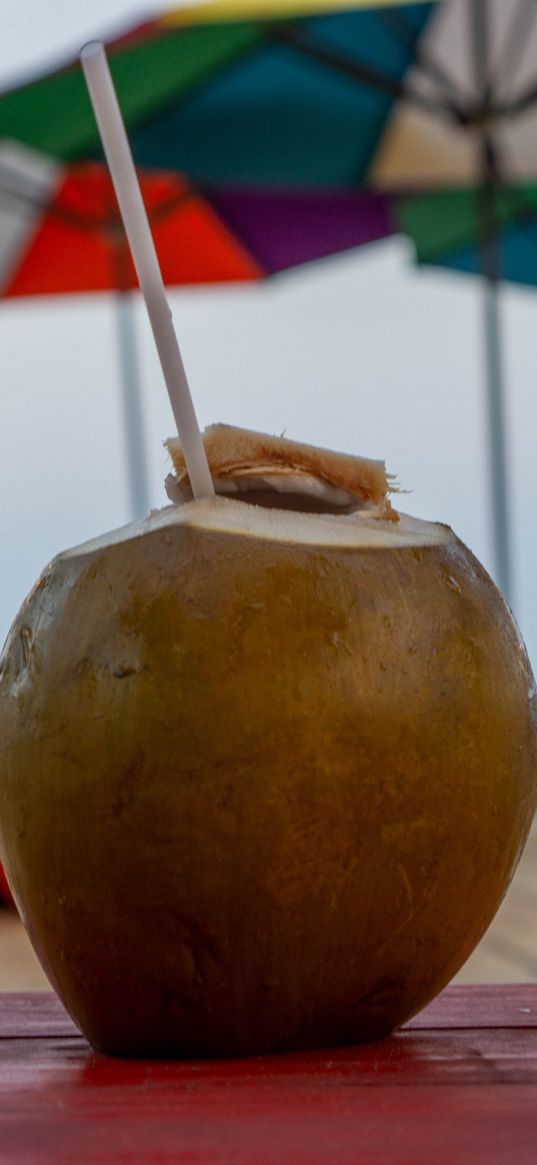 coconut, nut, straw, drink