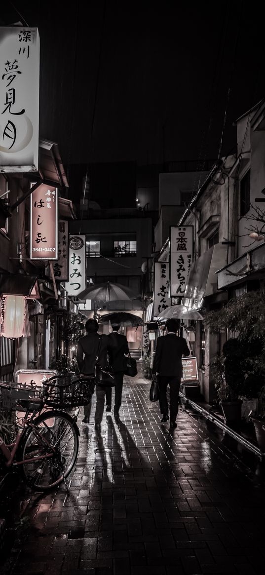 street, rain, signboards, hieroglyphs, people, dark