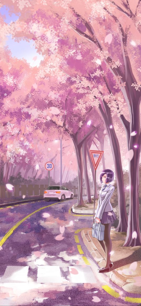 girl, road, transition, sakura, live, anime, art