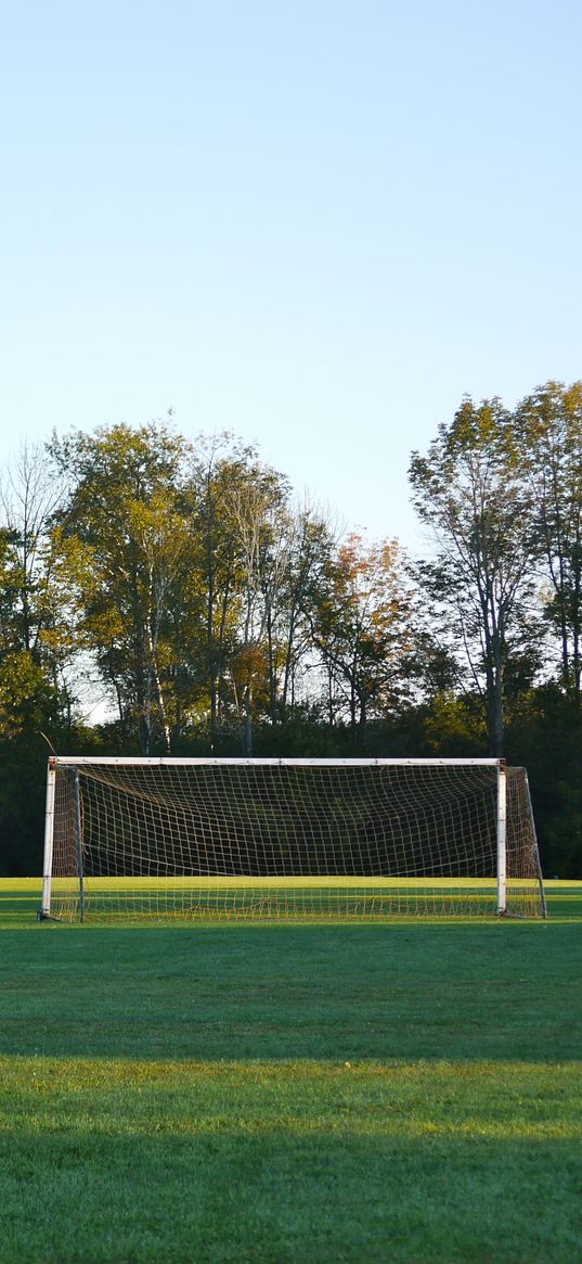 field, gate, net, trees, football