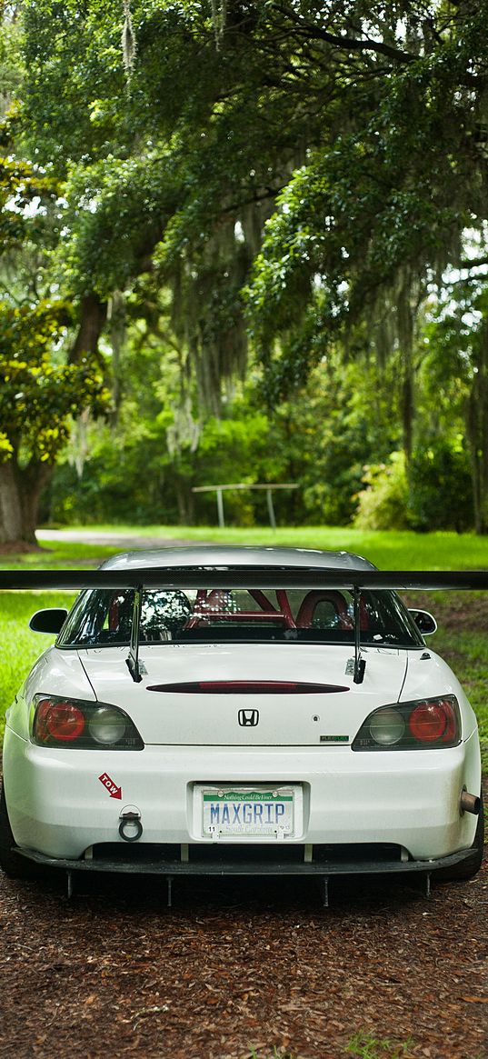 honda s2000, honda, car, white, back view