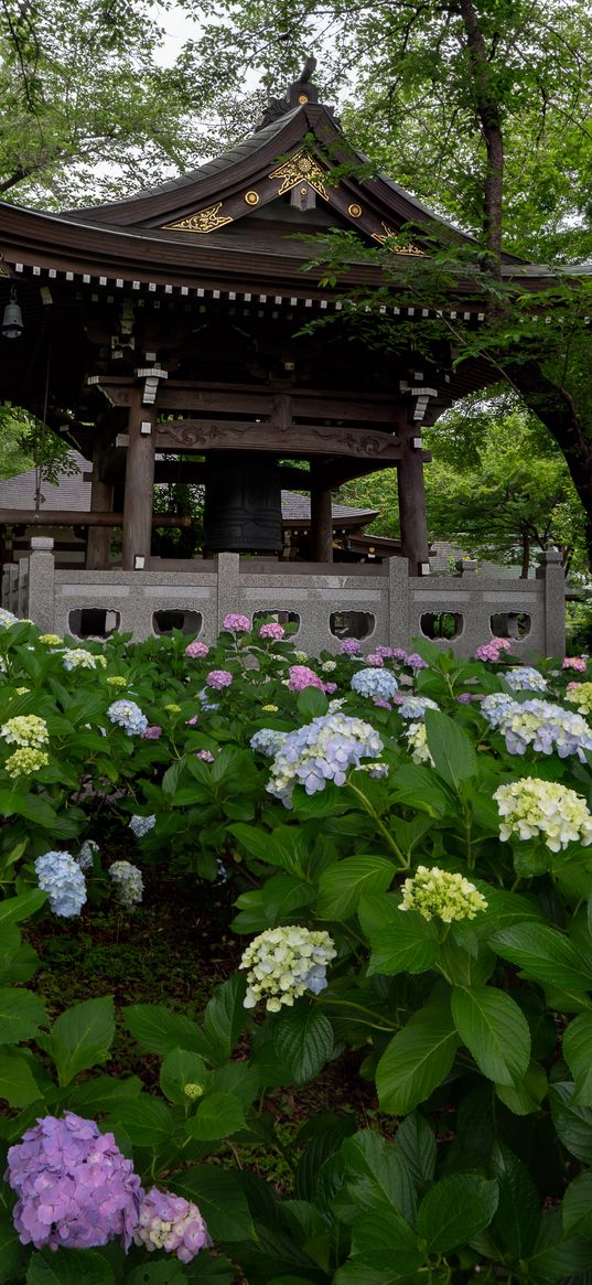 pagoda, temple, hydrangea, flowers, japan