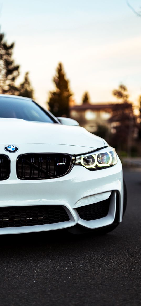 bmw, car, white, front view