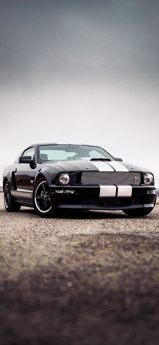 ford mustang, mustang, car, muscle car, black, road