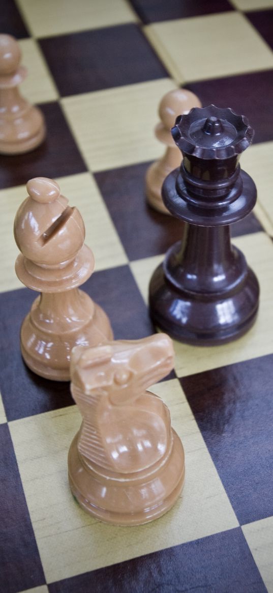 chess, game, board, pieces