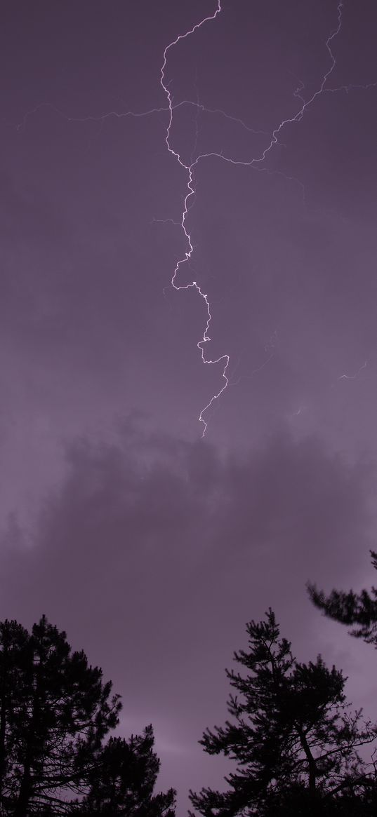 trees, silhouettes, thunderstorm, lightning, dark