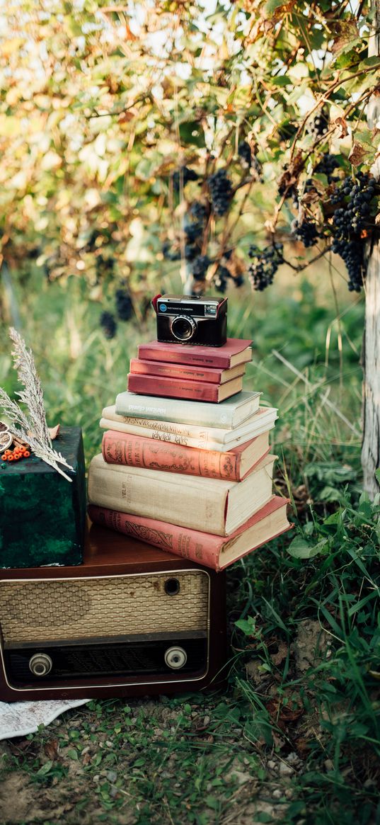 books, camera, wood, grapes, retro, aesthetics