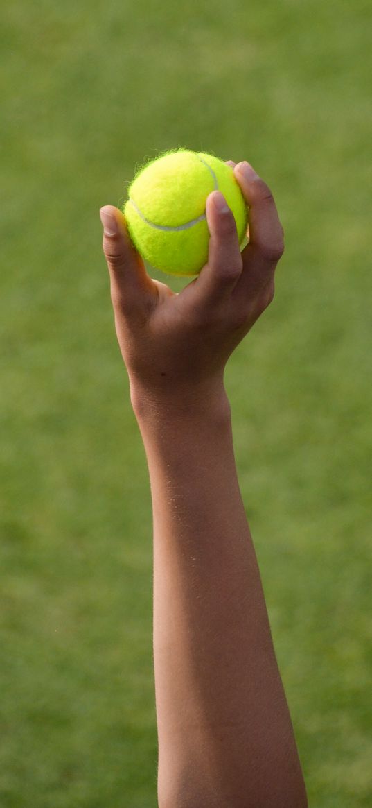 hand, tennis ball, ball, tennis, sport