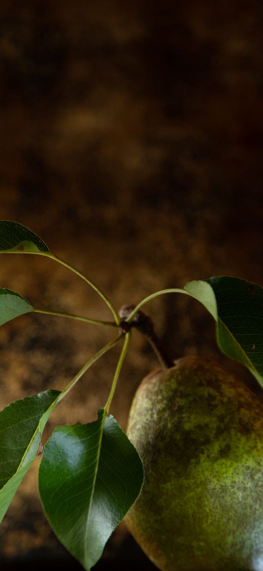 pear, fruit, leaves, macro