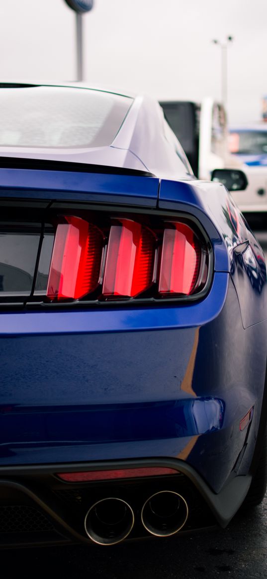 ford mustang, mustang, car, sports car, blue, tailight