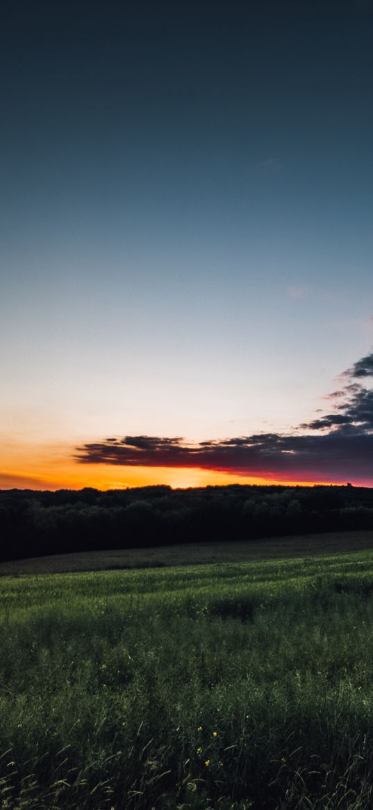 field, grass, twilight, landscape