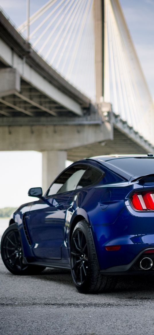 shelby mustang, mustang, car, muscle car, blue, back view