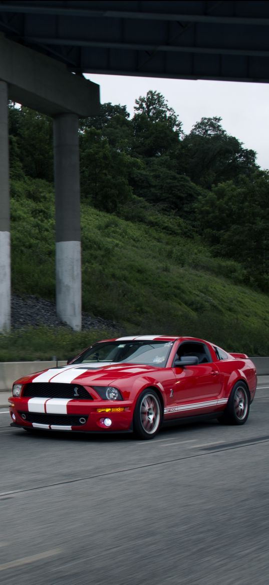 shelby mustang, mustang, car, muscle car, red, road, speed