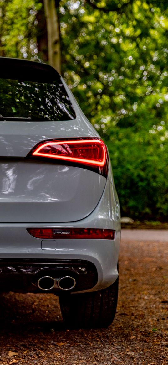 audi sq5, audi, car, white, back view