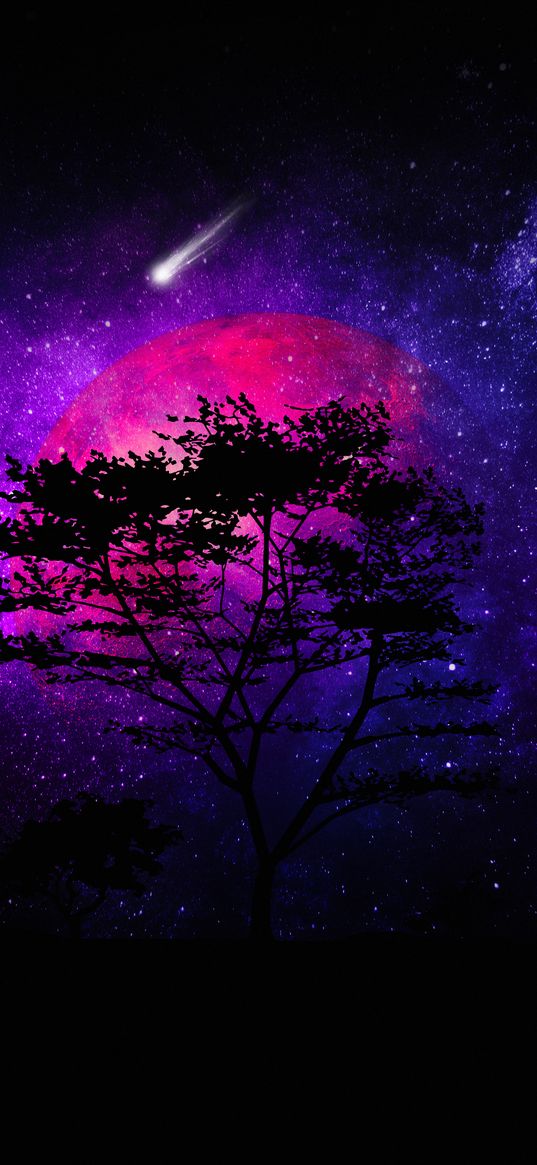 tree, silhouette, stars, sky, purple, dark