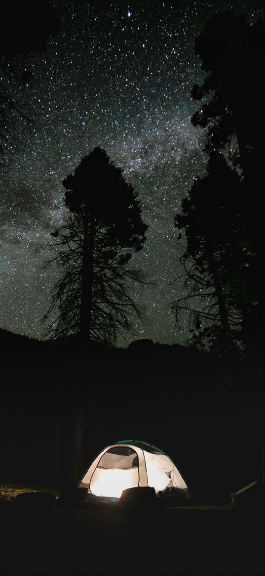 tent, trees, silhouettes, night, dark