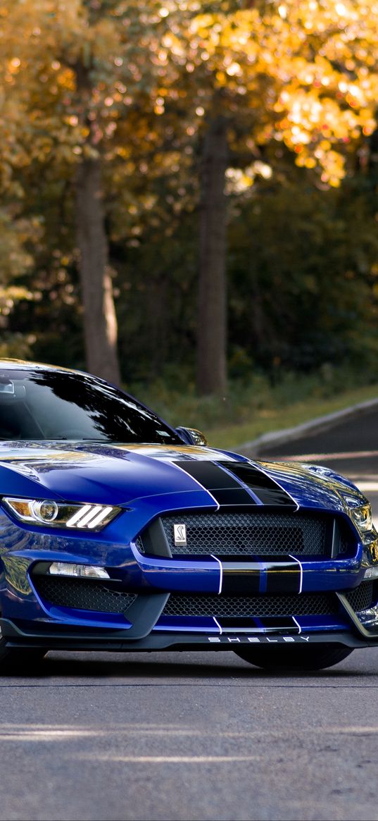 mustang shelby, mustang, car, muscle car, blue, road