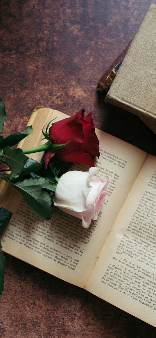 roses, flowers, book, aesthetics