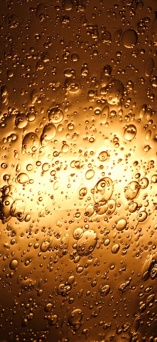 liquid, bubbles, backlight, golden, macro