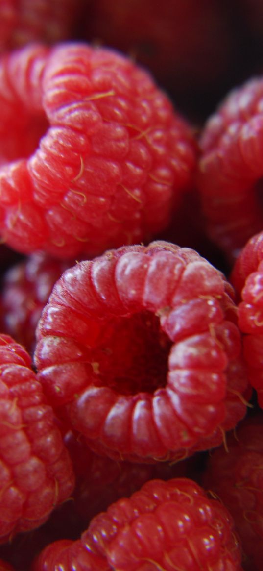 raspberries, berries, ripe, red, macro