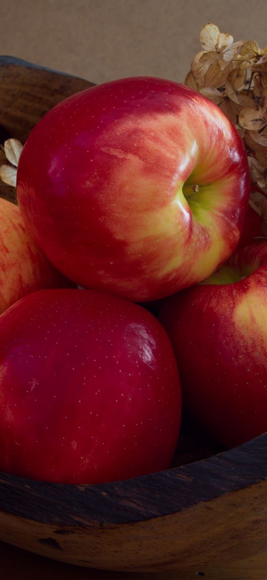 apples, fruit, red, hydrangea