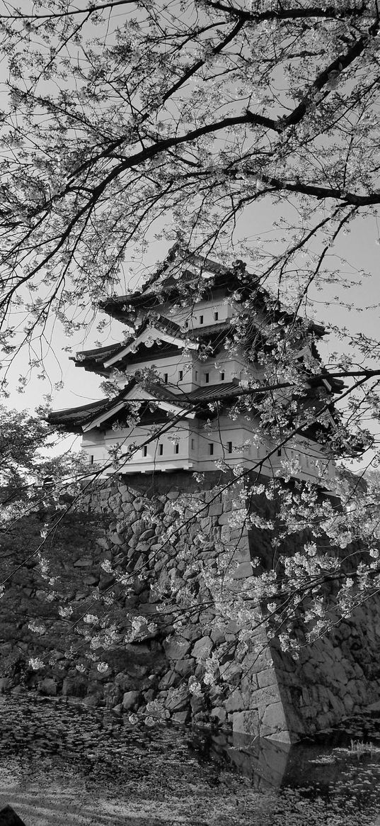 pagoda, sakura, spring, black and white, aesthetics