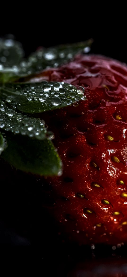 strawberry, berry, drops, macro