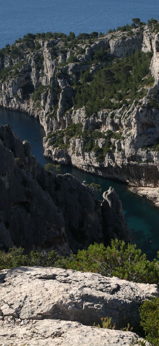 rocks, gorge, water, trees, landscape