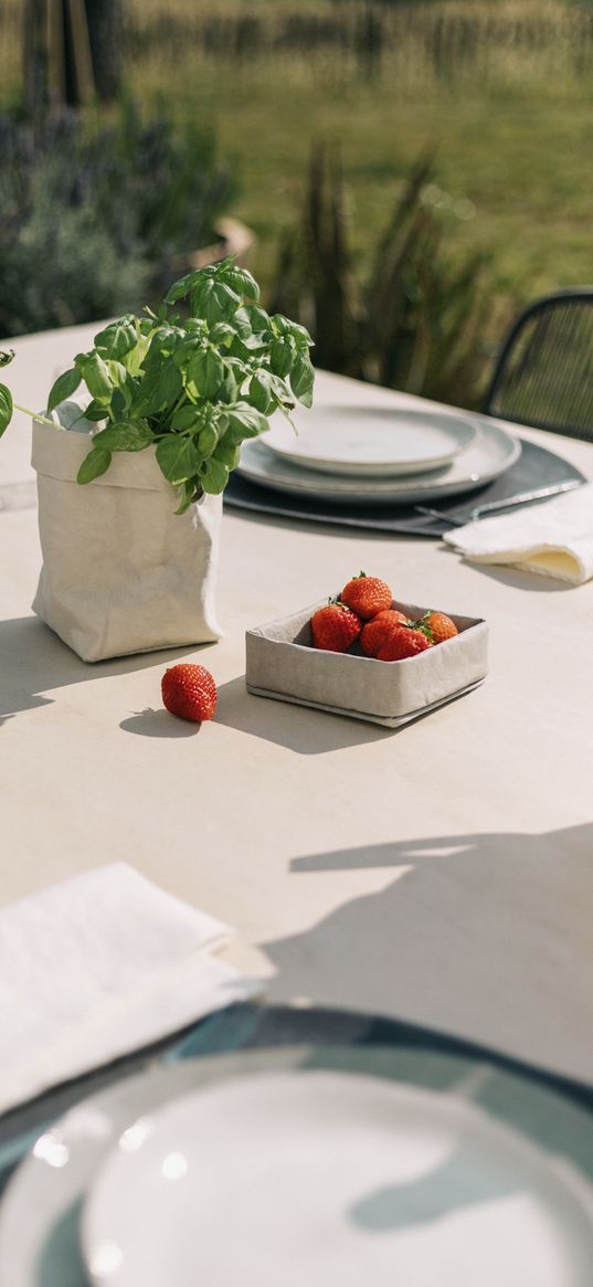 strawberries, berries, basil, table, setting, aesthetics