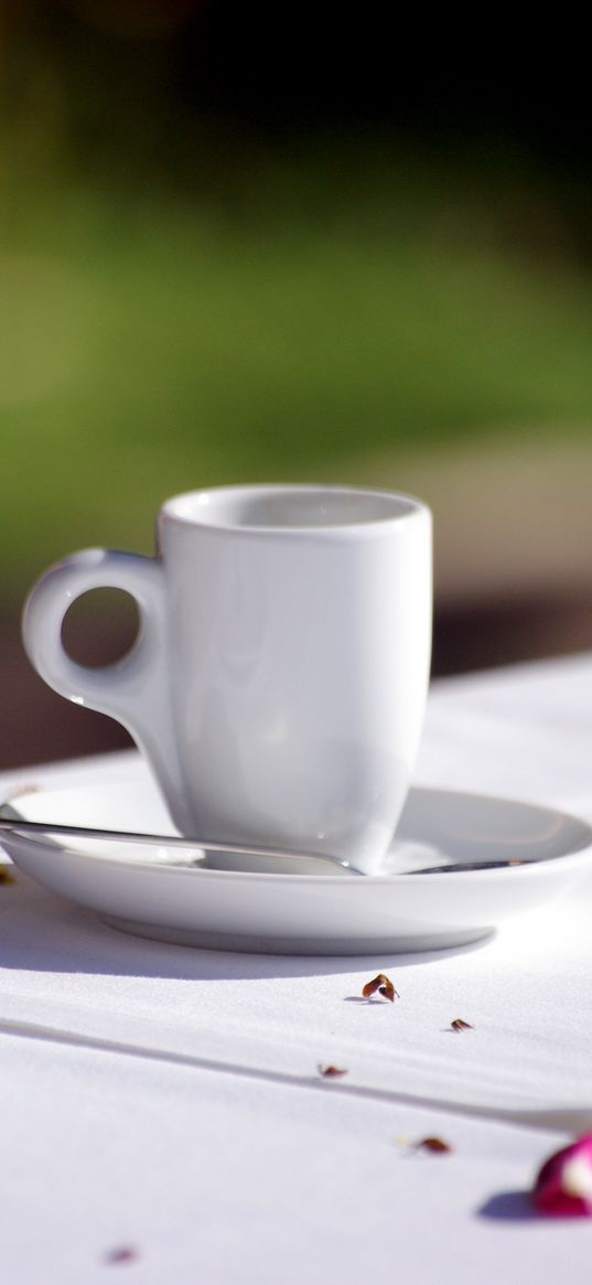 cup, plate, still life, aesthetics