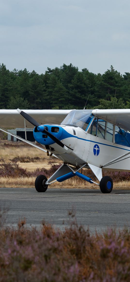 plane, blades, runway