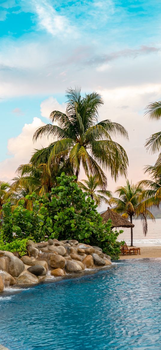 palms, trees, pool, beach, sea, summer