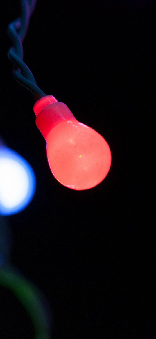 garland, light bulb, light, red, dark