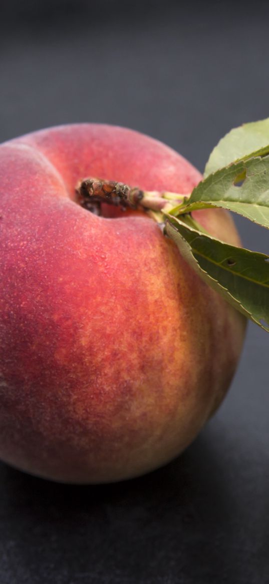 peach, fruit, ripe, leaves