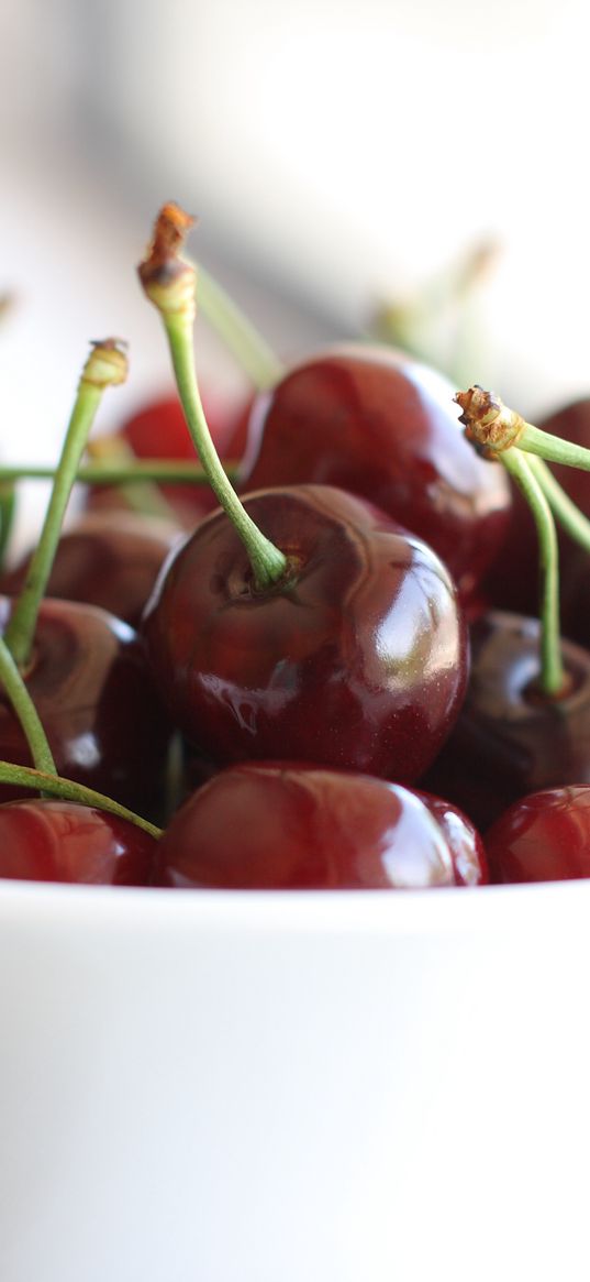 cherry, berries, ripe, bowl