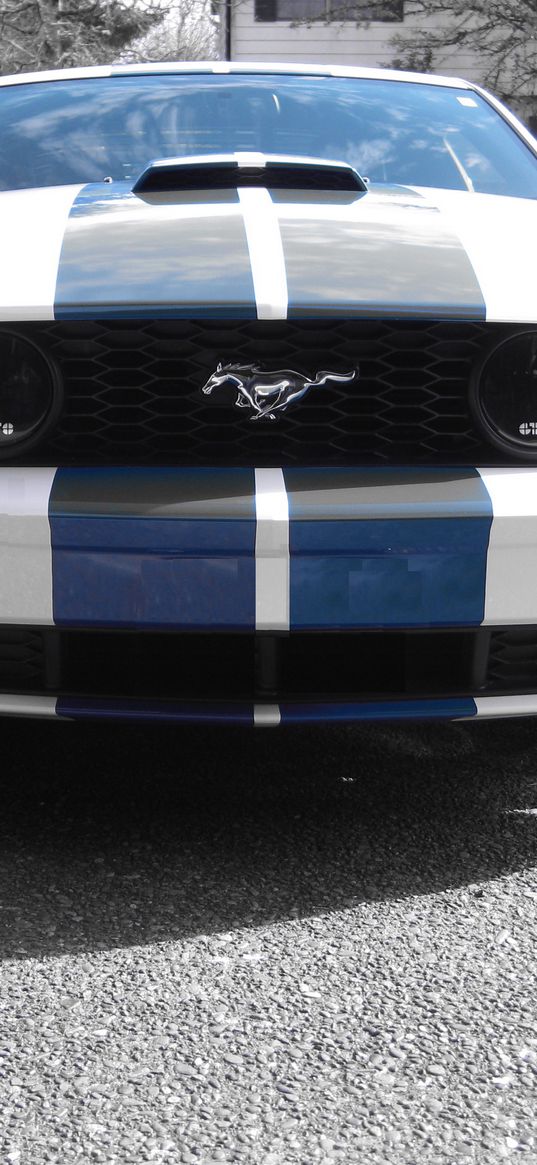 ford mustang, mustang, car, muscle car, white, stripes, blue