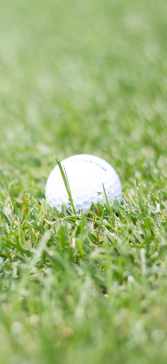 golf, ball, grass, sport