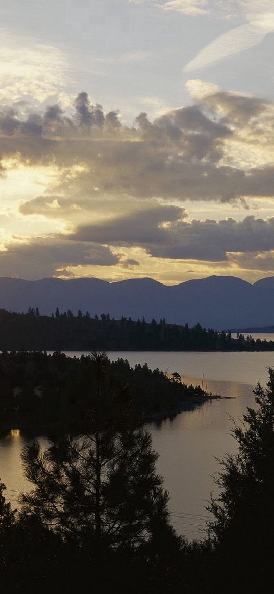 wild horse island, flathead lake, montana, sun, decline, evening, trees, horizon