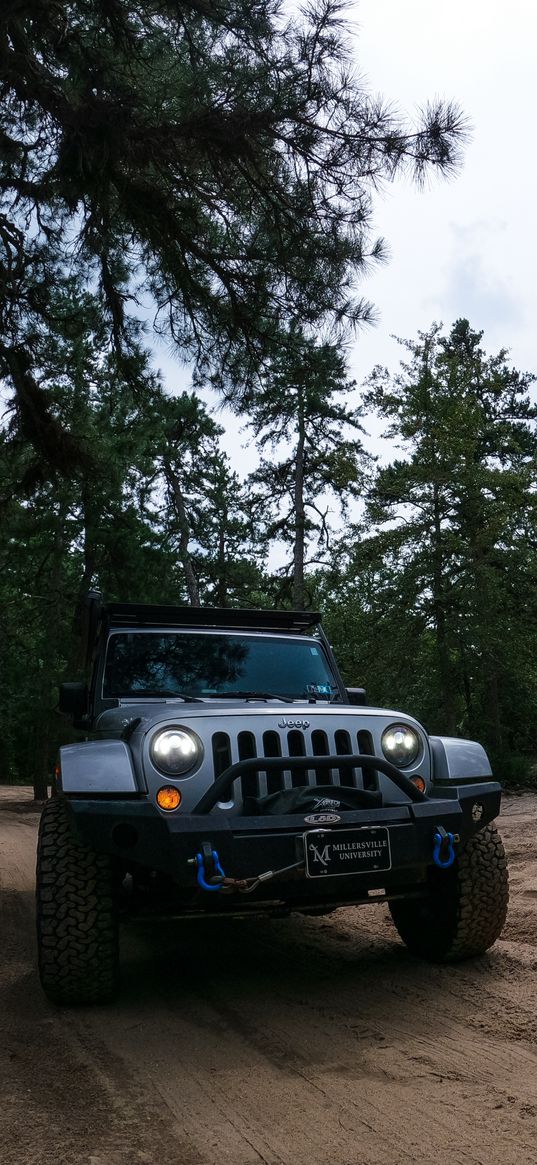 jeep wrangler, jeep, car, suv, gray, forest