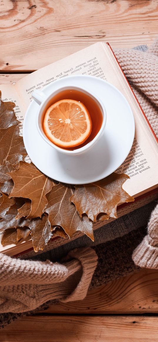 tea, lemon, cup, book, autumn, cozy